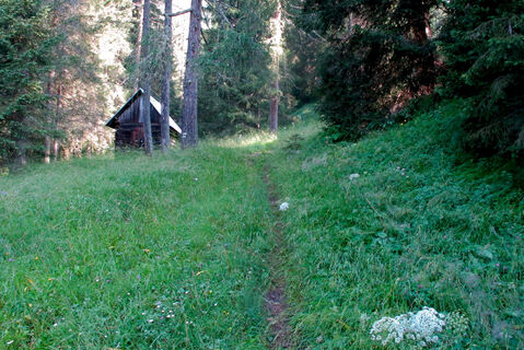 Salendo nel bosco