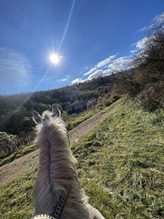 Fotografija s spletne strani Rakosianna114 na poti