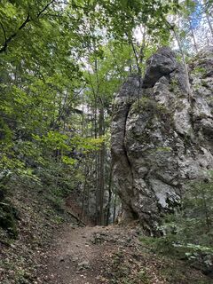 Foto de Martin1967 a lo largo del recorrido