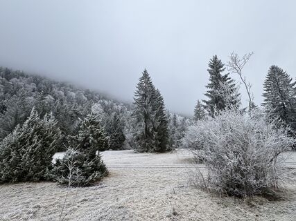 Foto de Denise Miller a lo largo del recorrido