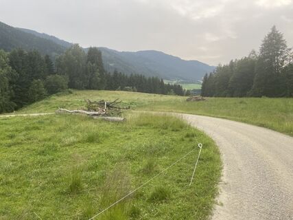 Fotografie z Piotr Radzinski na trase