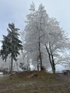 Fotografie de la Zengaffinen Erwin de-a lungul turului