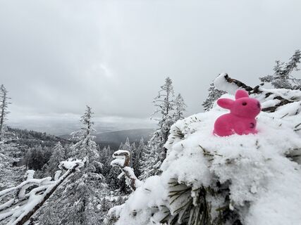 Zdjęcie z Natur_erleben_dg wzdłuż trasy