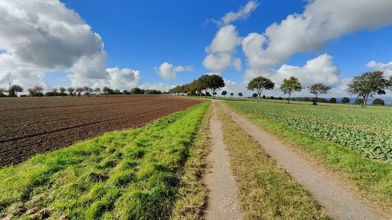 Foto von Sigurdwitt entlang der Tour