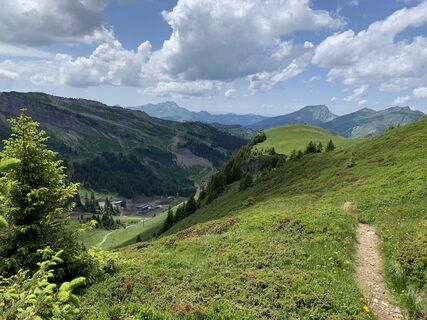 Foto von Koen De Wit entlang der Tour