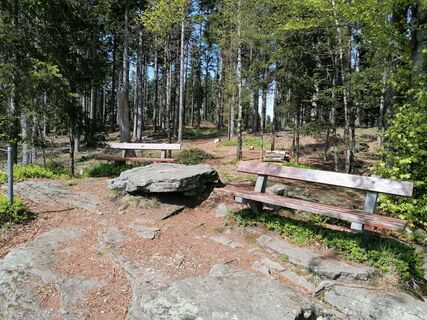 Foto von Wanderfux entlang der Tour