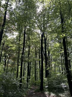 Foto von Robert Christiaans entlang der Tour