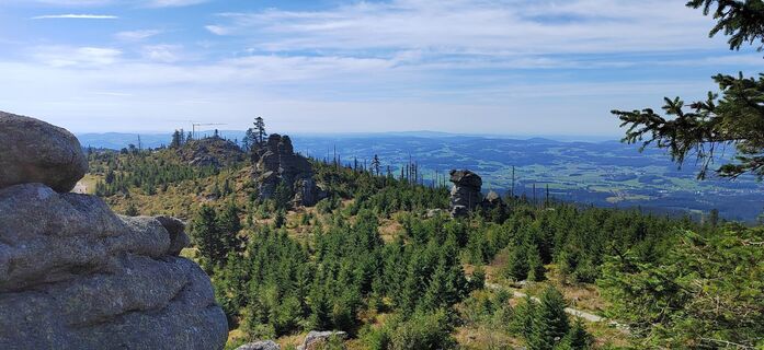 Foto de ReginaSt a lo largo del recorrido