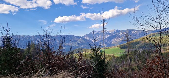 Foto von Utassy Tóth Johanna entlang der Tour