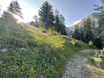 Foto von Natur_erleben_dg entlang der Tour