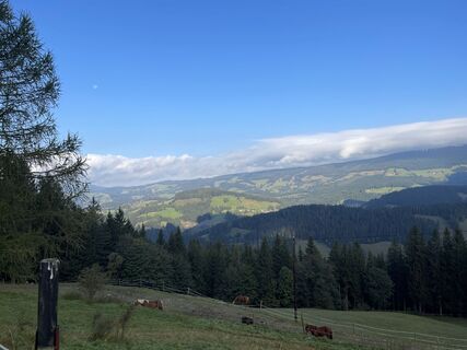 Fotografia z firebird 93 na trase