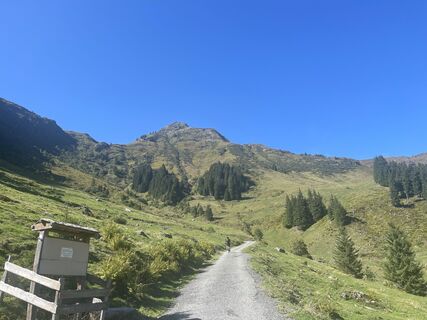 Foto von firebird 93 entlang der Tour