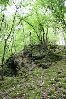 Zdjęcie z Günter Kleutsch wzdłuż trasy