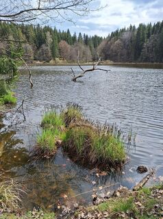 Foto da Dagmar Hofer lungo il tour