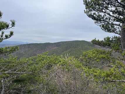 Fotografia z Vesna Djikic na trase