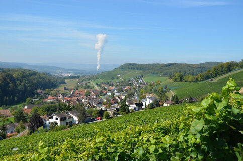 tegerfelden-blick-aufs-dorf