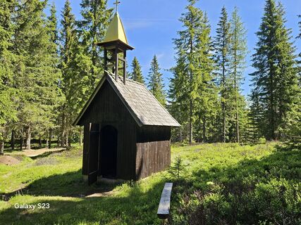 Fotografie z Anna Auer na trase