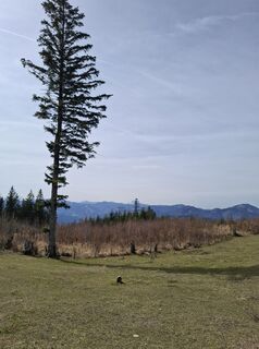 Foto von Helmut Koeck entlang der Tour