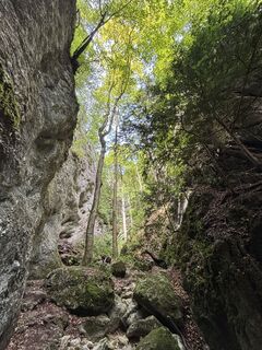 Foto de RS76 a lo largo del recorrido