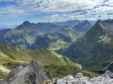 Photo de niwde le long du parcours