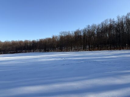 Photo de Levente Szádeczky le long du parcours