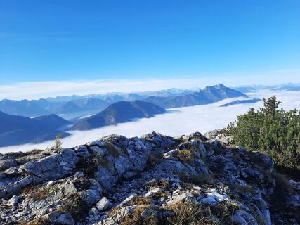Photo de Konrad Kreische 1 le long du parcours