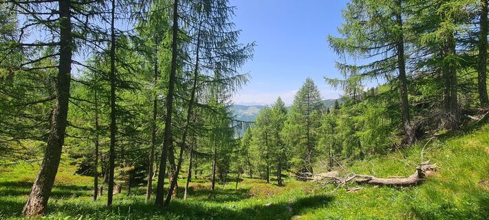 Foto von Laura Gasparotto entlang der Tour