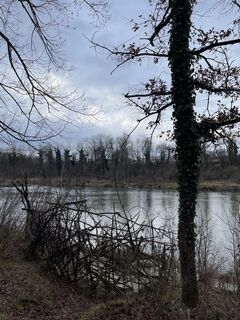 Fotografija s spletne strani Horst Moser na poti