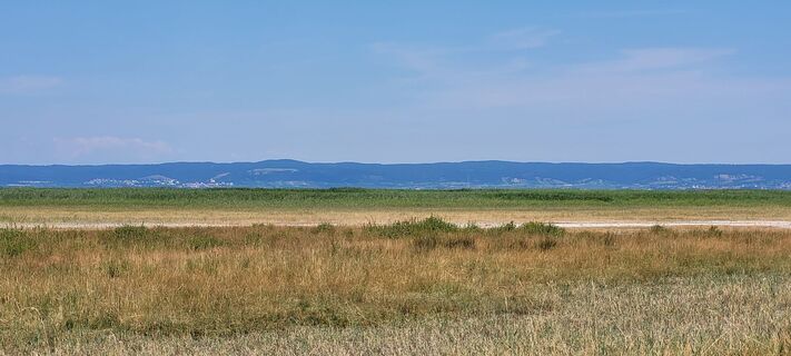Foto de Nicky a lo largo del recorrido