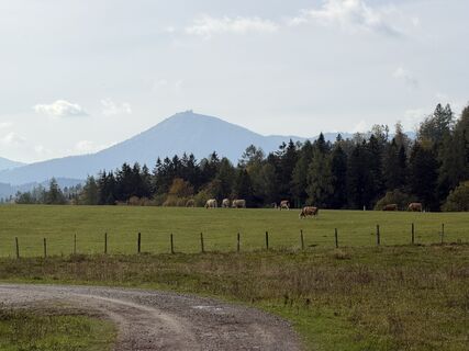Photo de Tamara le long du parcours
