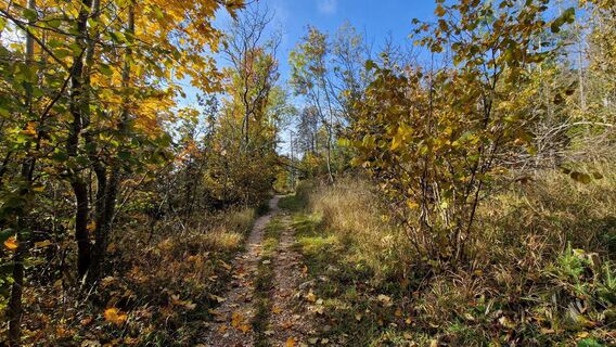 Photo de EP87 le long du parcours