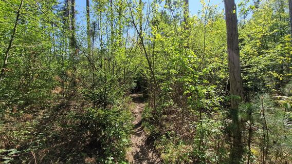 Photo de EP87 le long du parcours