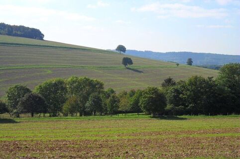 Landschaft im Sankt Wendeler Land