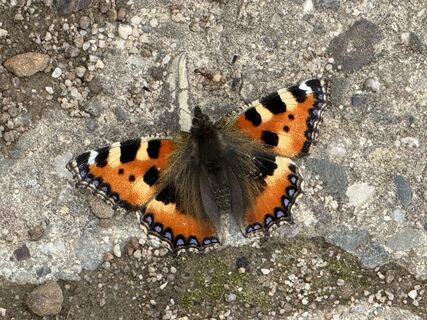 Photo de Norbert Herbig le long du parcours