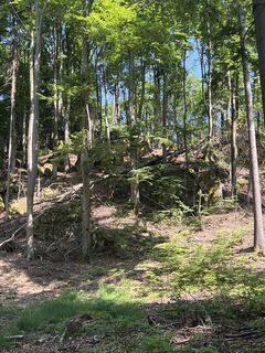 Foto från Harald Mang under resans gång