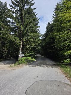Fotografija s spletne strani Walter Dienstl na poti