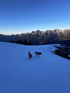 Photo de Eva Klem le long du parcours