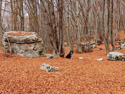 Foto von Luca Sangiorgio entlang der Tour