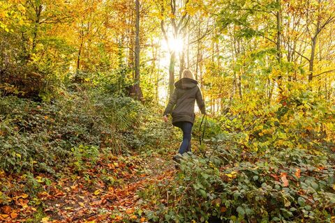 Premiumwanderweg Feenspuren Symbolbild mit Wanderin