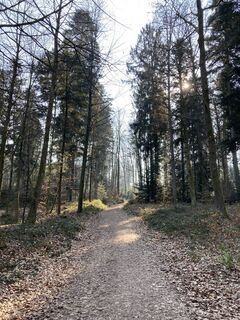 Foto da Björn Grampp lungo il tour