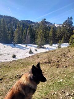 Foto von Delpyalain73 entlang der Tour