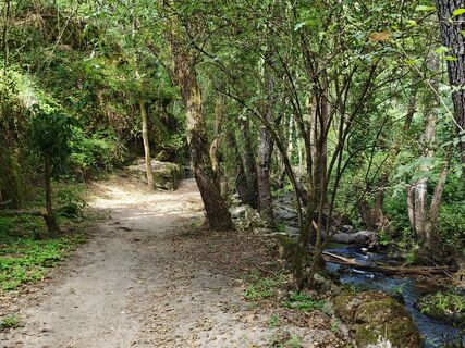 Foto de Michi Steiert a lo largo del recorrido