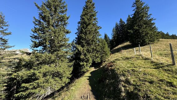 Foto von peter_oe entlang der Tour