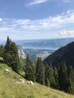 Foto de Martin Reinhard a lo largo del recorrido