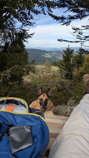 Fotografia z Thomas Köhler 2 na trase