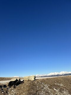 Foto von Matteo Piccin entlang der Tour