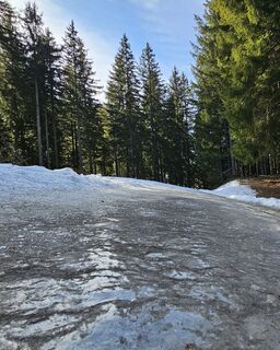 Kuva osoitteesta Grieshofer Gerlinde matkan varrella