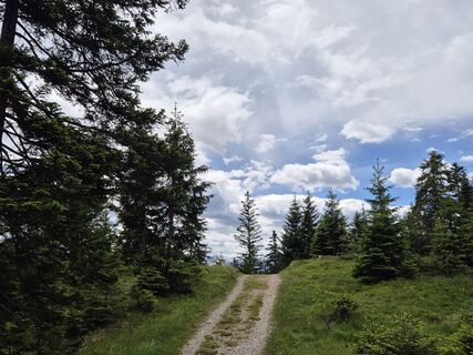 Fotografija s spletne strani Bernhard Jünger na poti