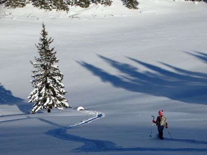 Schneeschuhwanderung vom Niederalpl auf den Herrenboden