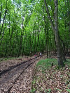 Photo de Julika Jármer le long du parcours